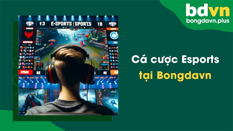 Esports Bongdavn – Lựa chọn hàng đầu cho người chơi cá cược esports