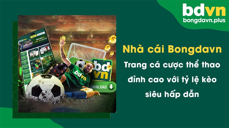 Nhà cái Bongdavn - Trang cá cược thể thao đỉnh cao với tỷ lệ kèo siêu hấp dẫn