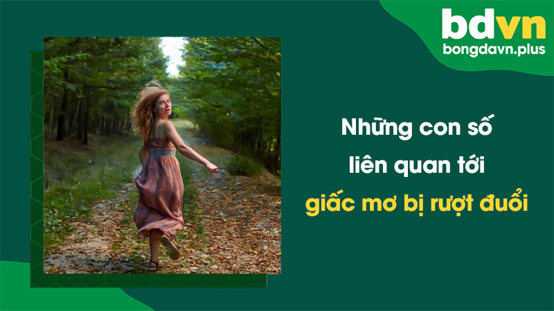 Những con số liên quan tới giấc mơ bị rượt đuổi